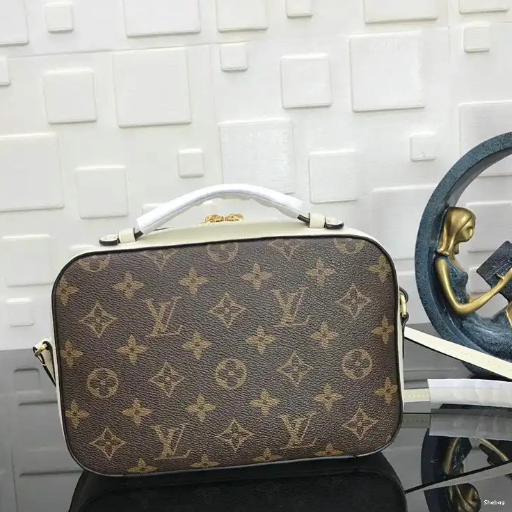Bags LV 19T1L0068 0802